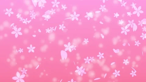 Background pattern of cherry blossoms. Stock Footage 102452648