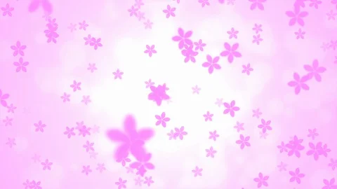 Background pattern of cherry blossoms. Stock Footage 102499271