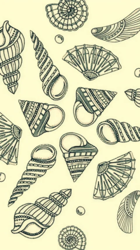 Background pattern created by sea shells and starfish. Background of Seashell Stock Footage 281516980