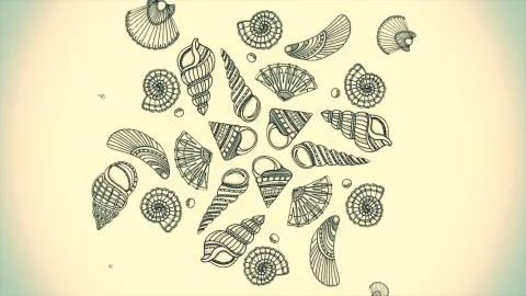 Background pattern created by sea shells and starfish. Background of Seashell Illustrazione stock