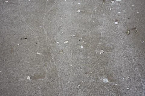 Background pattern design on sand background from wave with shell of shellf.. Foto stock