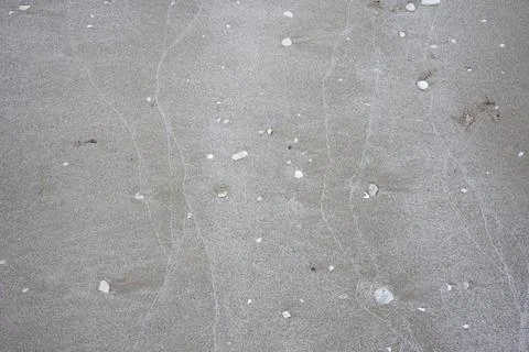 Background pattern design on sand background from wave with shell of shellf.. Stock Photos