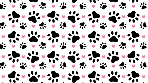 Background with a pattern of dog's paw prints. Stock Footage 257651637