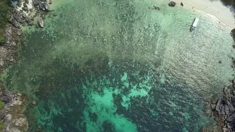 Background pattern 库存影片 156846616