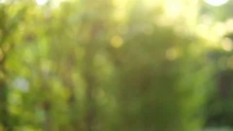 Background pattern Stock Footage 156848578