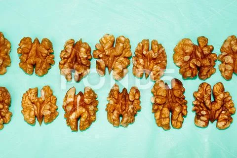 Background of a pattern of halves of a walnut kernel in two rows on a turquoi Stock-Fotos