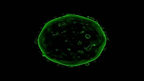 Background pattern. High quality footage 库存影片 157858368