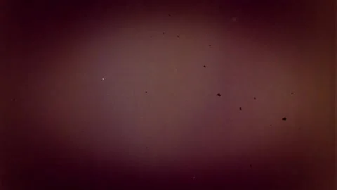 Background pattern. High quality footage Stock Footage 157859792