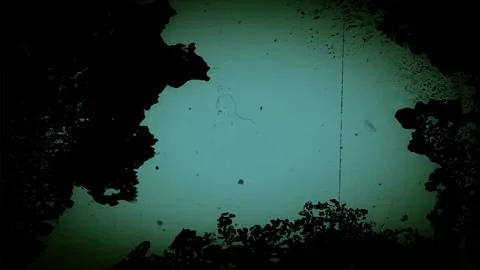 Background pattern. High quality footage 스톡 동영상 157863262