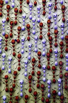 Background pattern with metal ants. Stock Photos