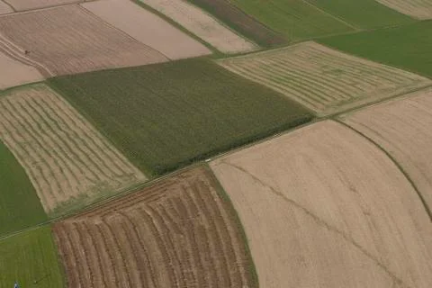 Background pattern nature texture birdseye view Stock Photos