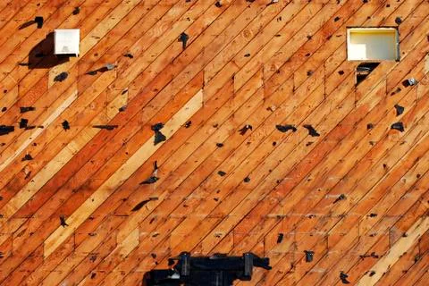 Background pattern nature texture washington air Stock Photos