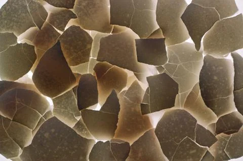 Background pattern paper back chicken crack wall Stock Photos