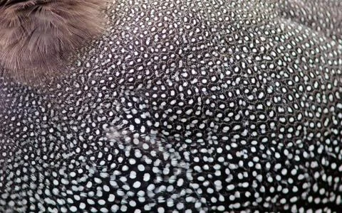 Background pattern Stock Photos