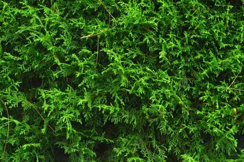 Background pattern Stock Photos