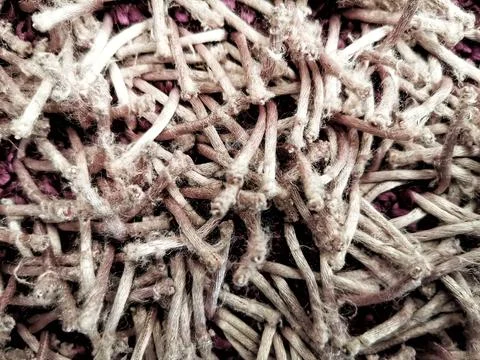 Background. Pattern. Stock Photos