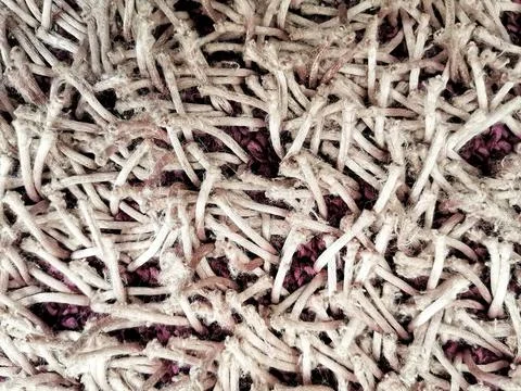 Background. Pattern. Stock Photos