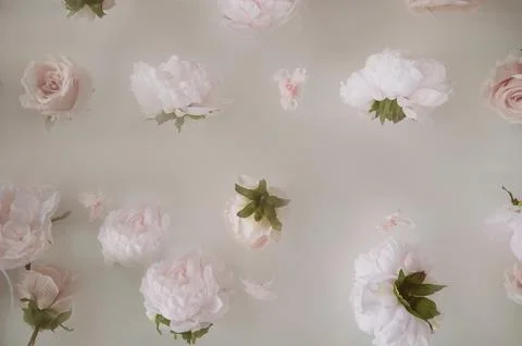 Background pattern, roses are just flowers in the air Stock Photos