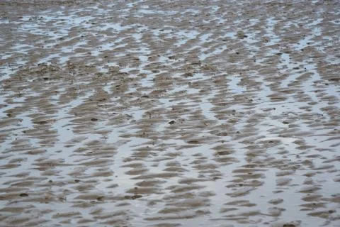 Background pattern of sand on the beach Stock Photos