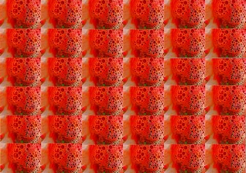 Background pattern with soap bubbles on a red background. Stock Photos