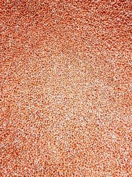 Background pattern texture of red lentils Stock Photos