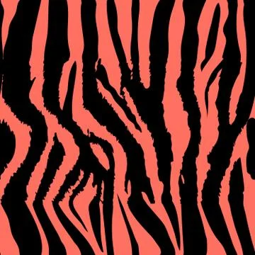 Background pattern texture tiger  and zebra stripe black jungle safari. Color Stock Illustration