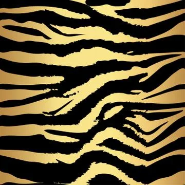 Background pattern texture tiger  and zebra stripe gold jungle safari. Tiger  Stock Illustration