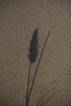 Background pattern variations from wall to stone to wood Stockfoto's