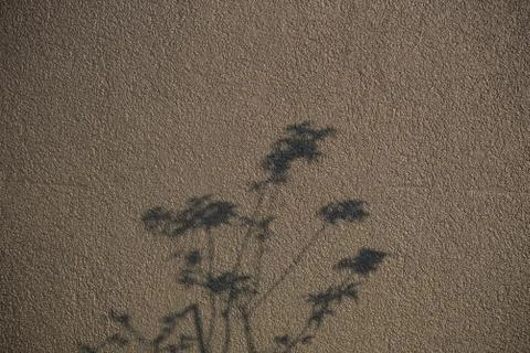 Background pattern variations from wall to stone to wood Stock Photos