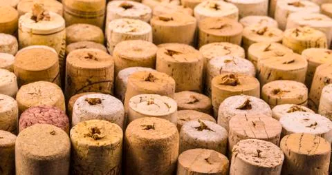 Background pattern of wine bottles corks. Stock Photos