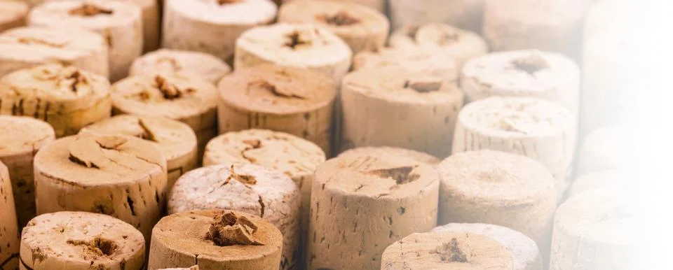 Background pattern of wine bottles corks in soft diffused light. Selective .. Stock Photos