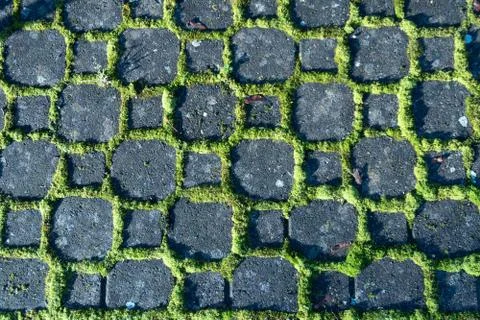Background patterns - black stones of a path surrounded by light green moss i Stock Photos