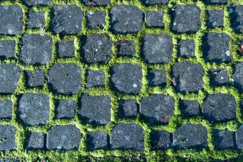 Background patterns - black stones of a path surrounded by light green moss i Stock Photos