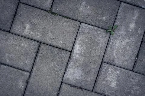Background pavement, paving stone, brick, cobblestone, road, footpath. Stock Photos
