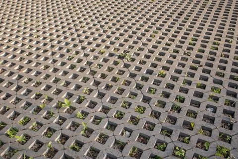 Background from paving slabs with grass sprouting through them. Stone tiles o Foto stock