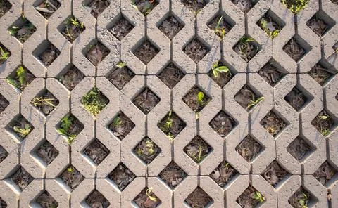 Background from paving slabs with grass sprouting through them. Stone tiles o Foto stock