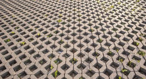 Background from paving slabs with grass sprouting through them. Stone tiles o Stock-Fotos