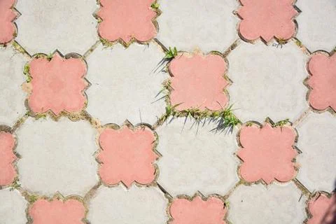 Background of paving slabs with sprouting grass.	 Stock Photos
