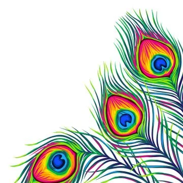 Background with peacock feathers. Stock Illustration