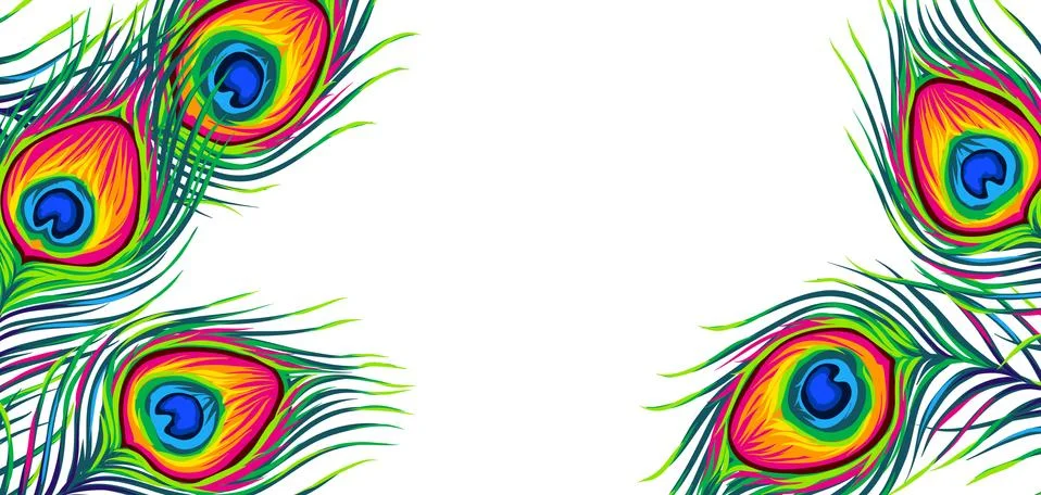 Background with peacock feathers. Stock Illustration