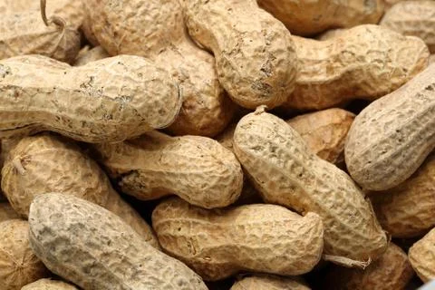 Background of peanuts. Full frame Foto stock