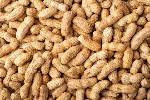 Background of peanuts in peel Stock Photos