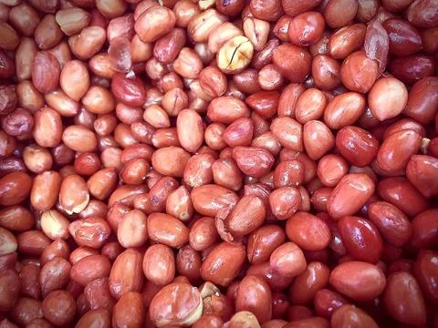 Background of Peanuts with Thin Brown Layers Stock Photos