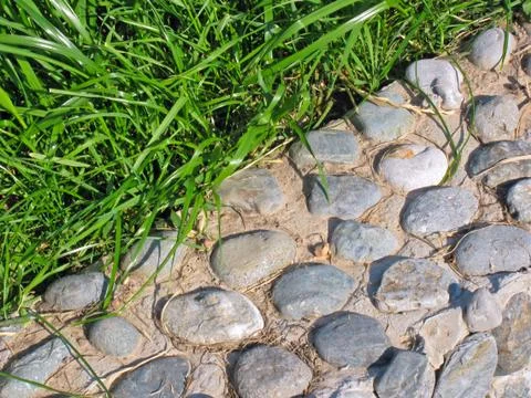 Background of pebble and grass Stock Photos