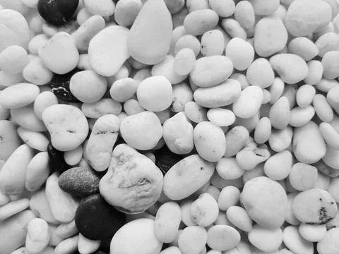 Background of pebbles in black and white close-up. Sea pebble texture Stock Photos