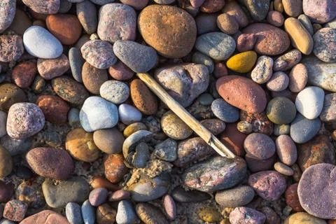 Background pebbles different sizes stony beach Stock Photos