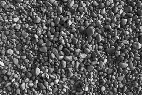 Background pebbles different sizes stony beach Stock Photos