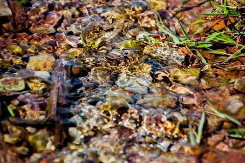 Background of pebbles seen through rippling water Stock Photos