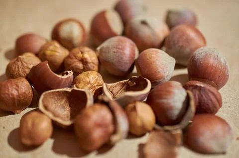 Background of peeled hazelnut kernels and shells and whole nuts Stock Photos