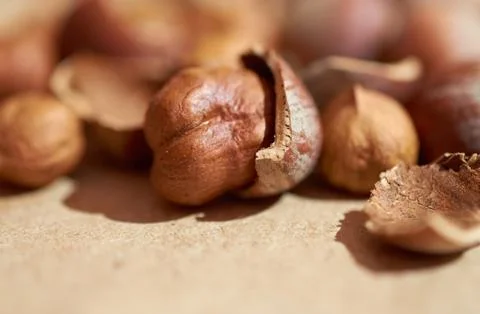 Background of peeled hazelnut kernels and shells and whole nuts Stock Photos